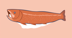 Smoked Trout FAQs