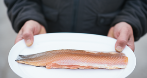 The History of Smoked Trout